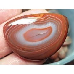 Lake Superior Agate